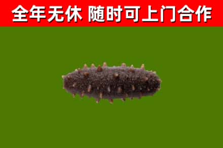 梁园区烟酒回收干海参.jpg